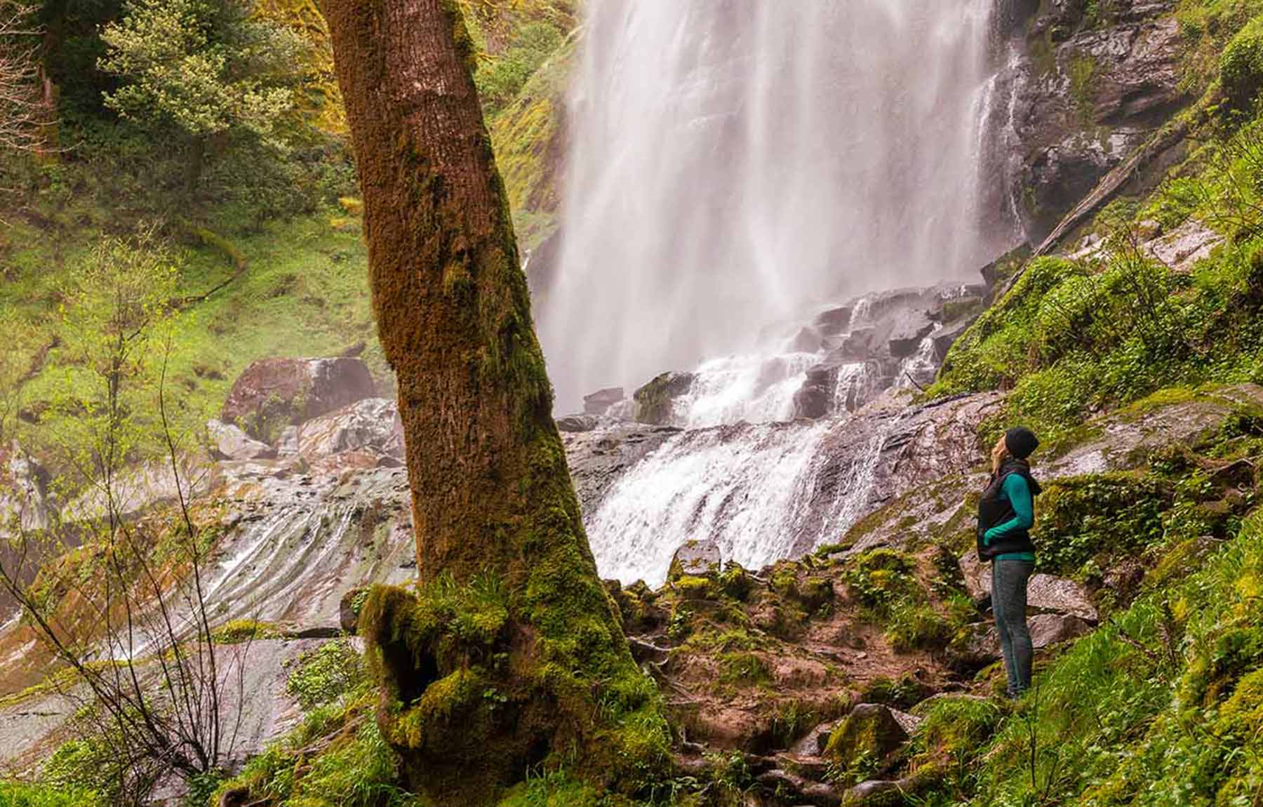 2505 Local Attractions Golden Silver Falls State Park