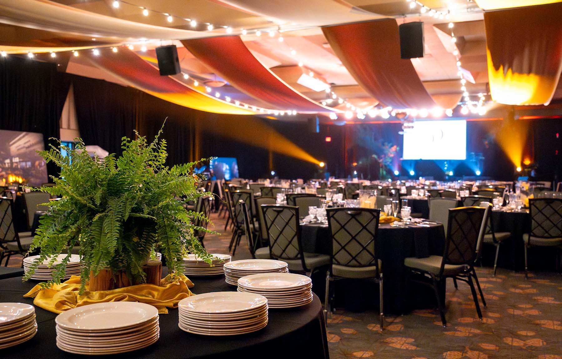 2505 Casino Interior Salmon Room