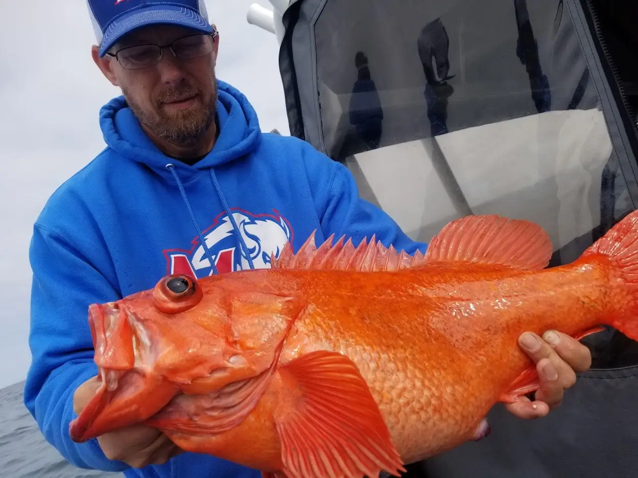 Things to Do | Fishing Things to Do | Fishing