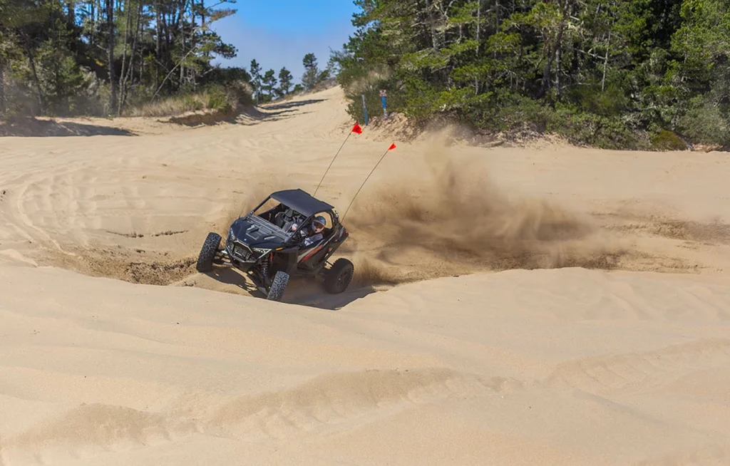 Things To Do | Exploring the Sand Dunes Things To Do | Exploring the Sand Dunes