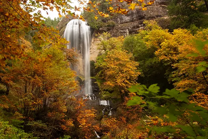 Local Attractions | Golden & Silver Falls State Park