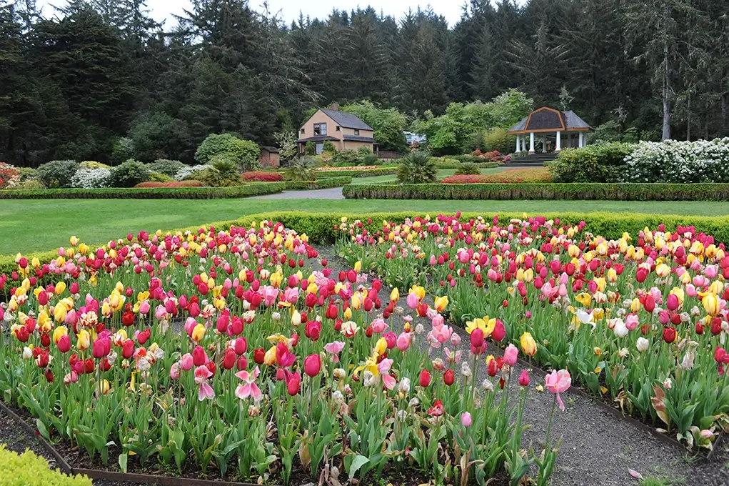 2507 Local Attractions Shore Acres 7