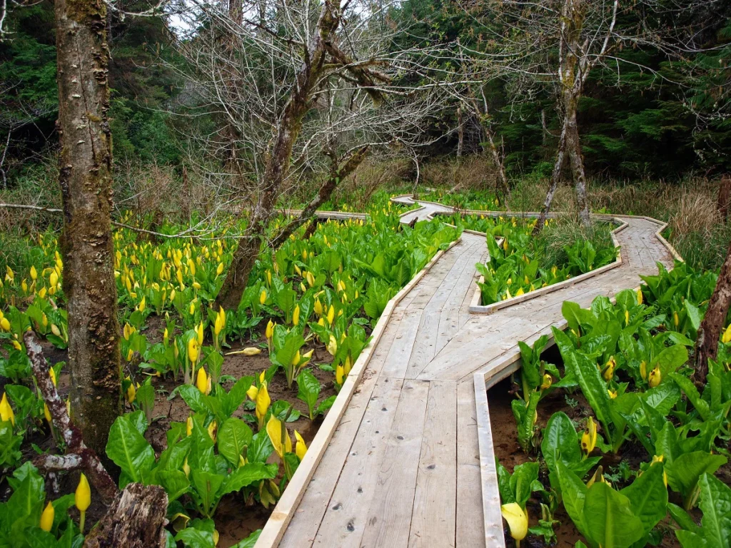 Things To Do | Top Hiking Trails