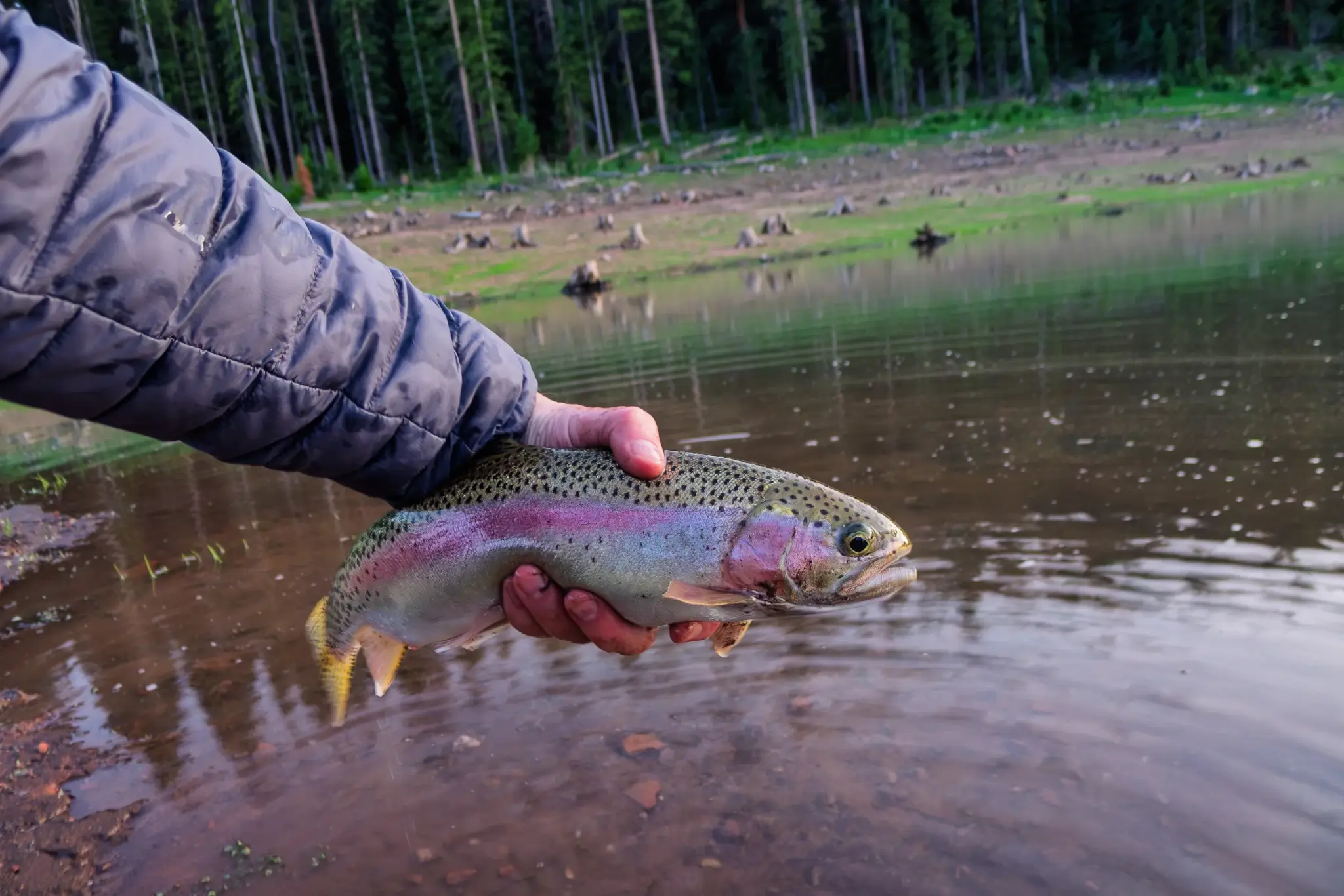 Things to Do | Fishing Things to Do | Fishing
